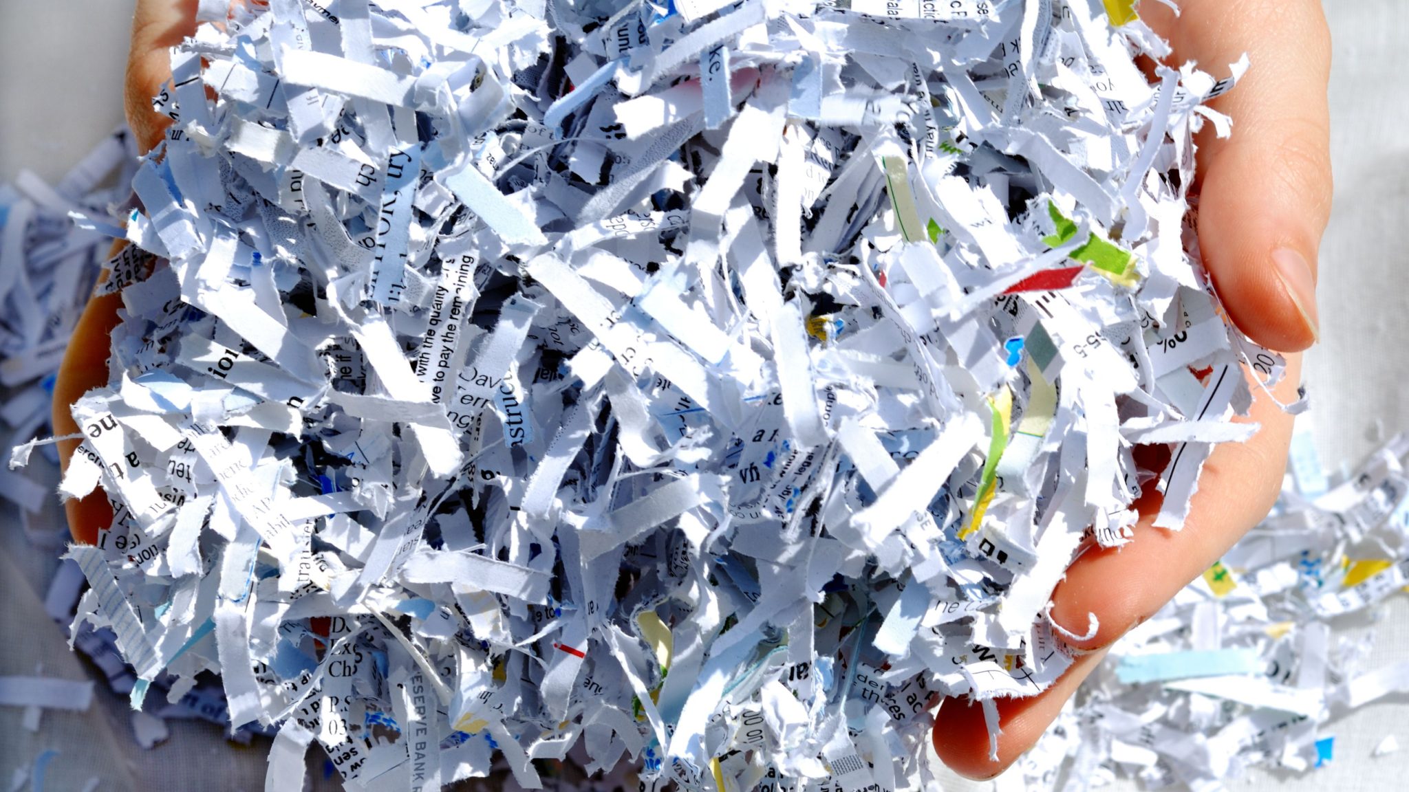 Shredding Services Green Bay - Ericka Stephi